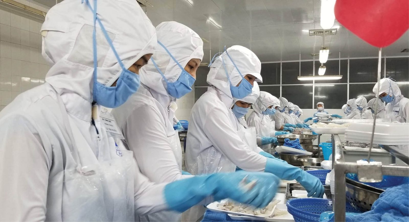 Hue attracting on-site FDI