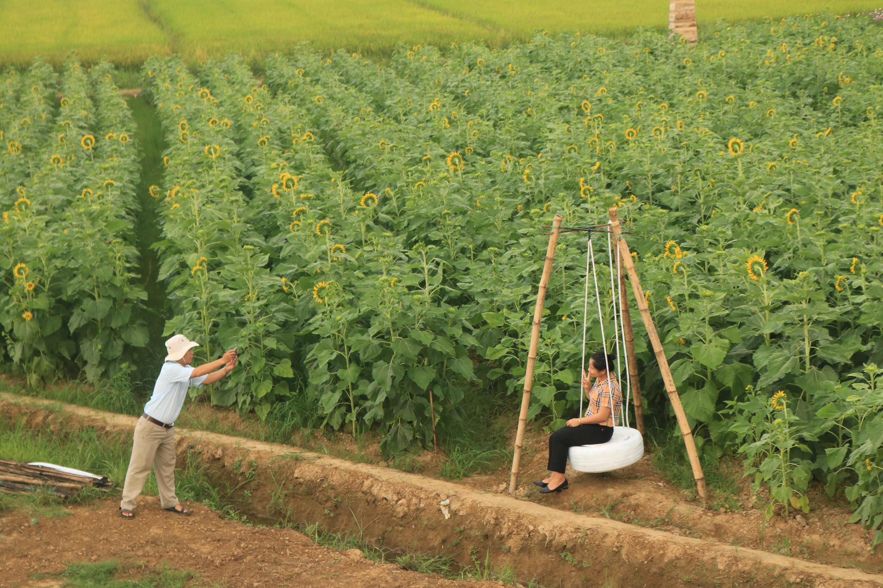 Rực rỡ vườn hoa Thanh Vân