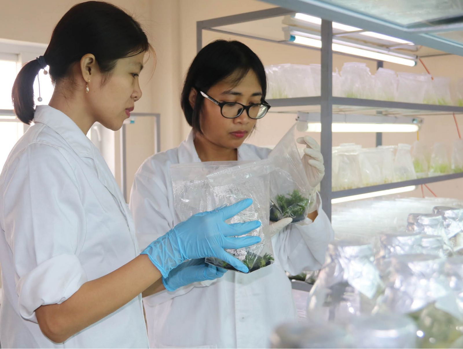 Progress of Hue University in international rankings