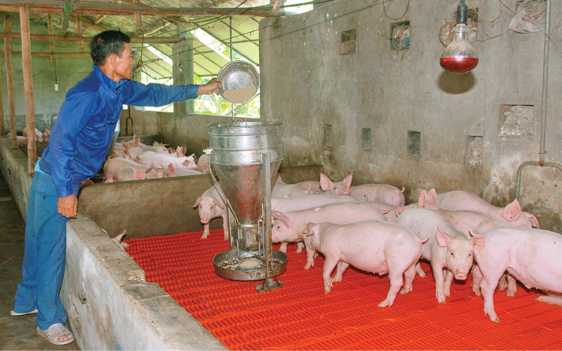 An cư, lạc nghiệp trên vùng cát nội đồng