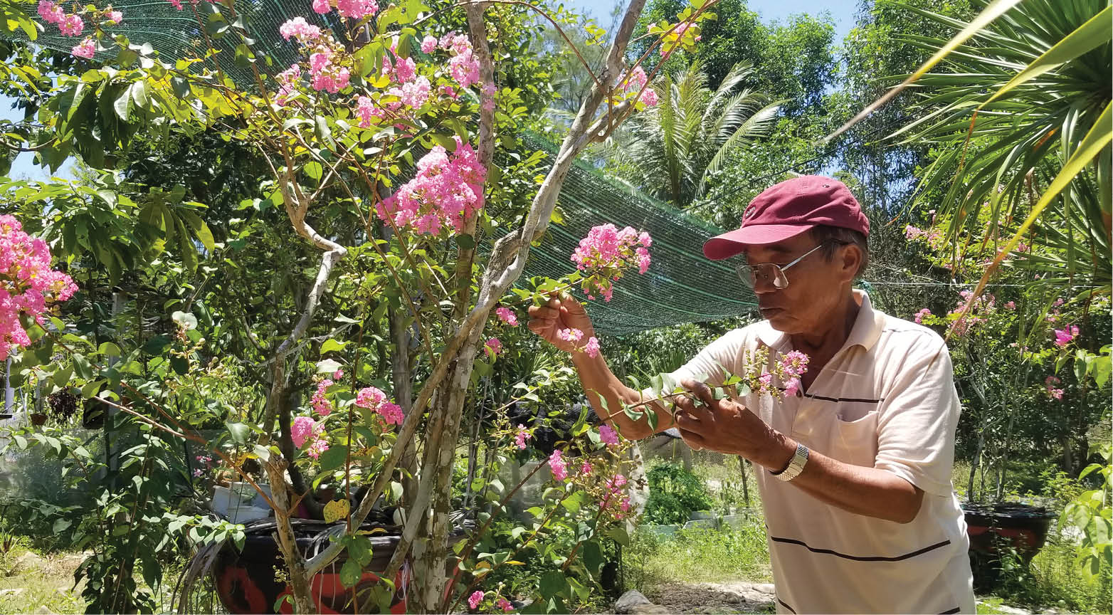 “Lửa” chưa bao giờ tắt