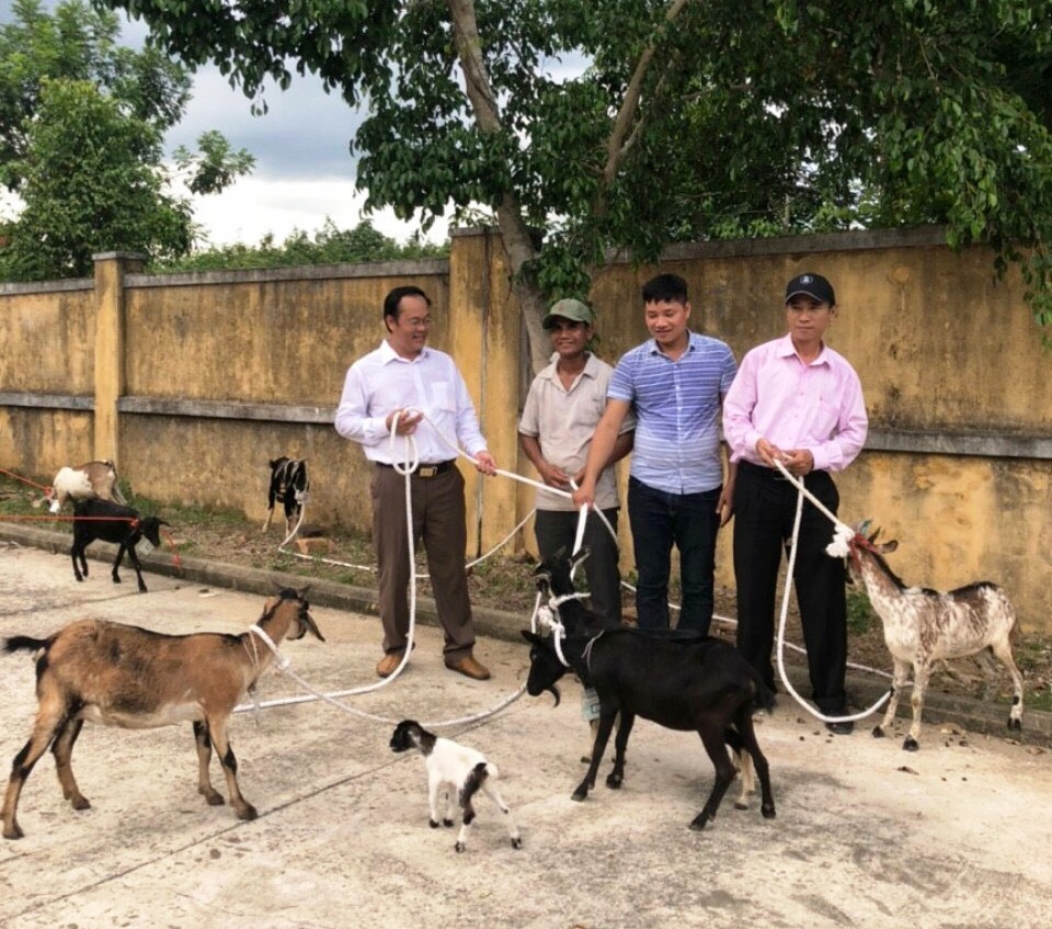 Trao 85 con dê giống cho nông dân Phong Mỹ