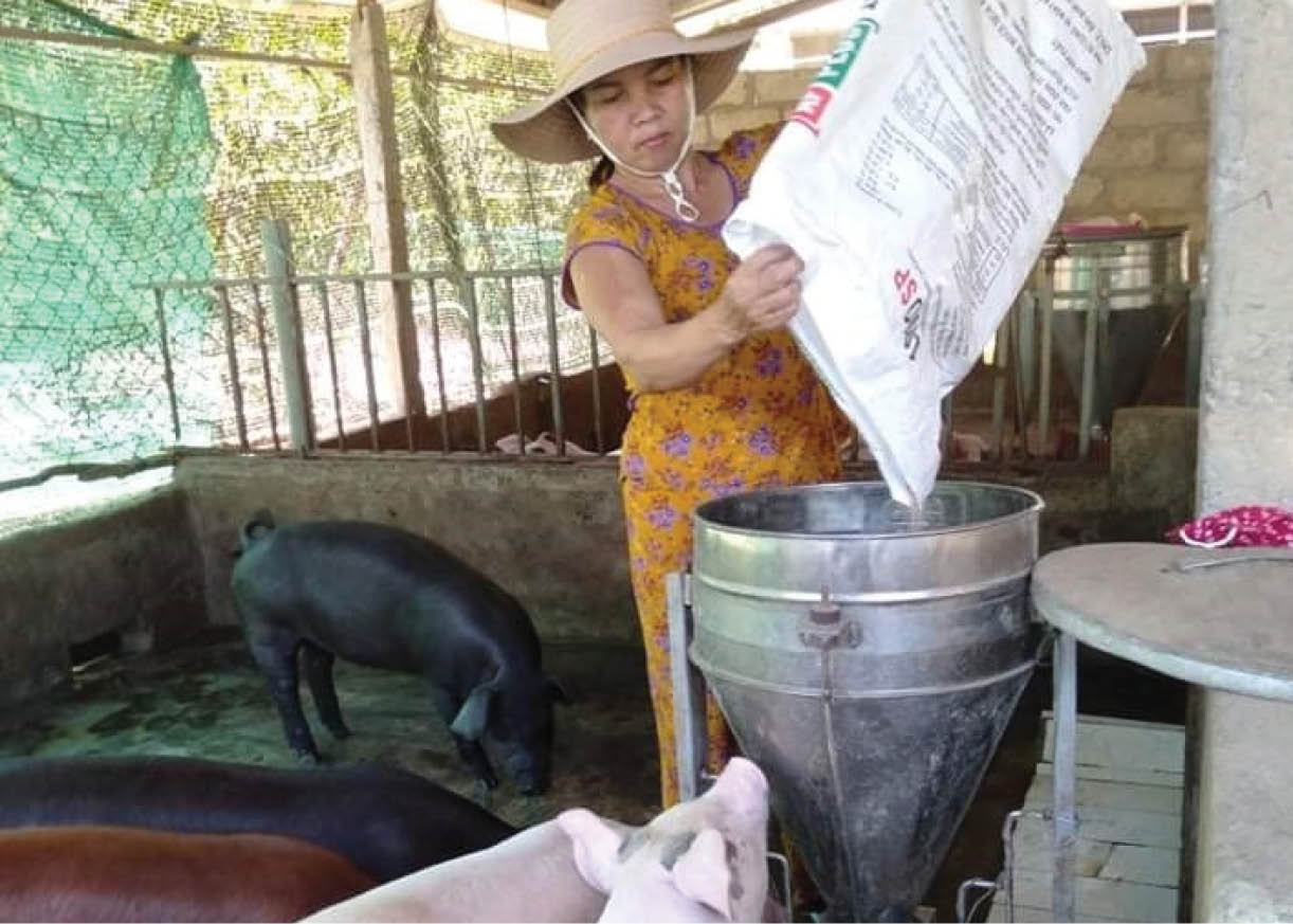 Vươn lên trong gian khó