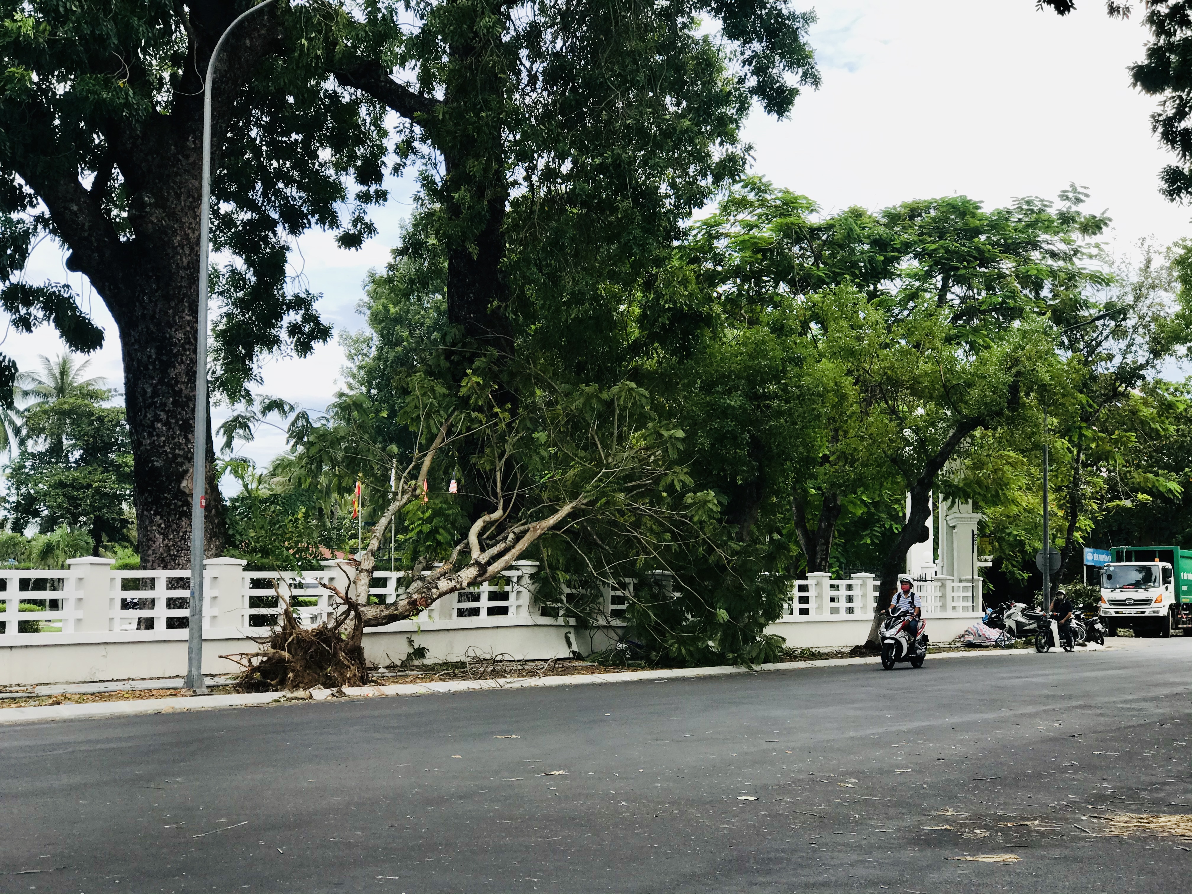 Già không chết, trẻ lại chết