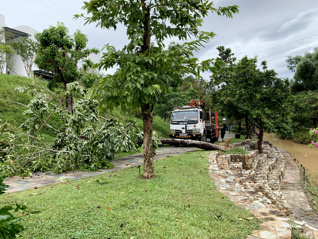 Khắc phục hậu quả, sớm phục vụ khách trở lại