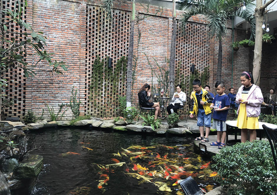 The Koi fish coffee shops - universally loved by people at all ages