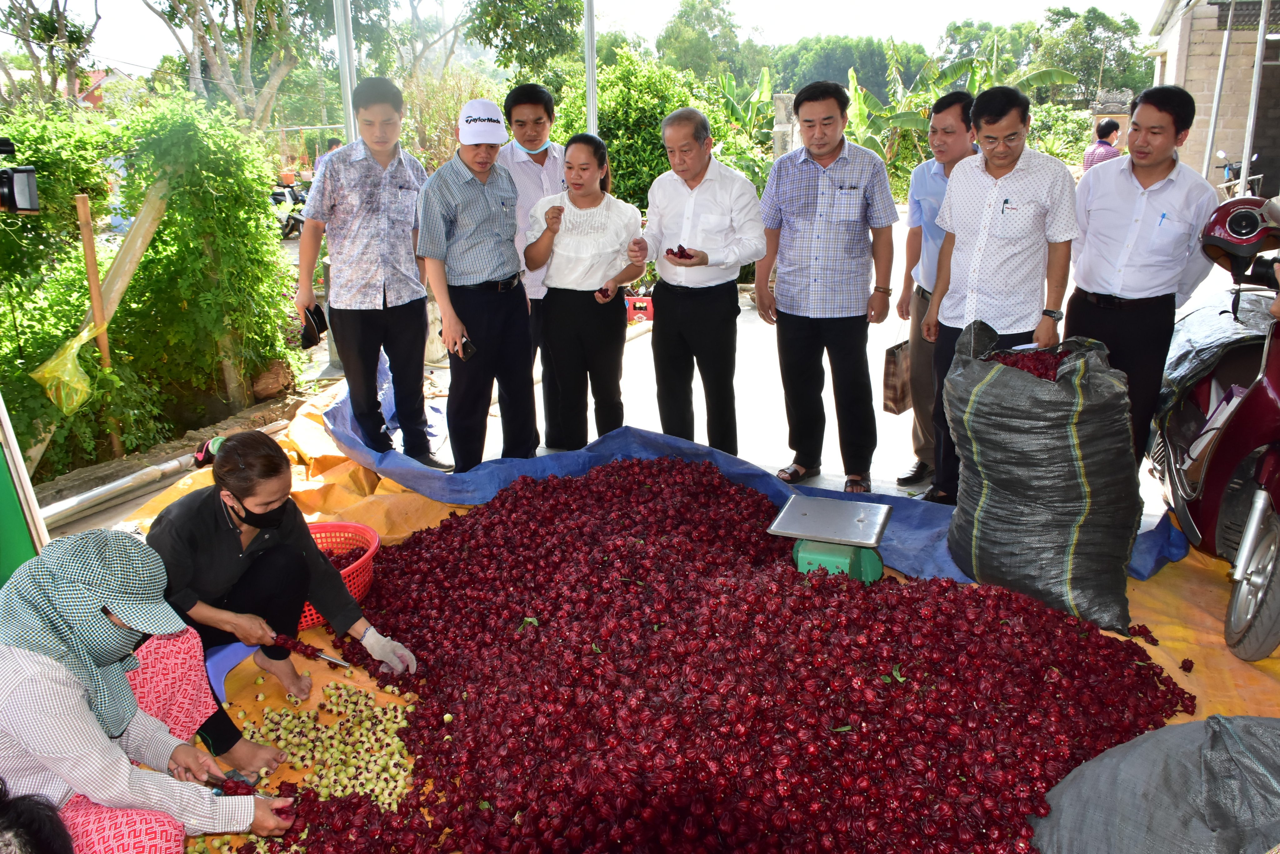 Hiểu để khởi nghiệp đổi mới sáng tạo hiệu quả
