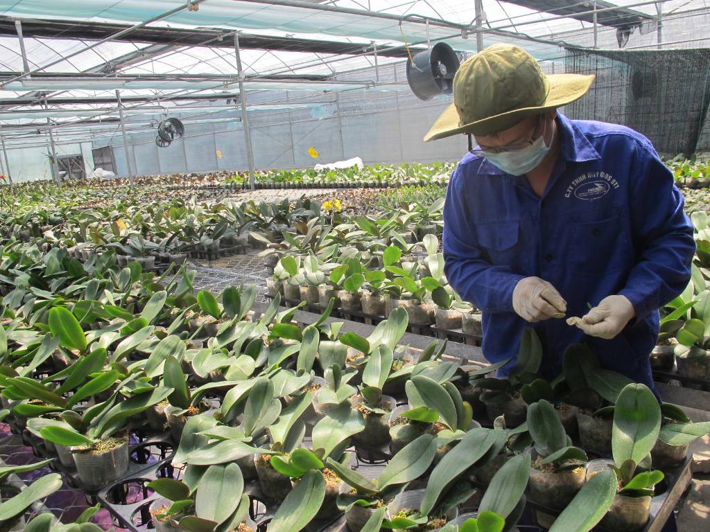 Tìm hướng phát triển doanh nghiệp khoa học và công nghệ trong trường đại học