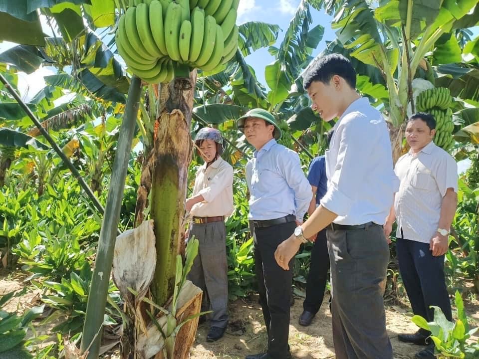 A Lưới phấn đấu nâng mức thu nhập bình quân đầu người trên 40 triệu đồng năm