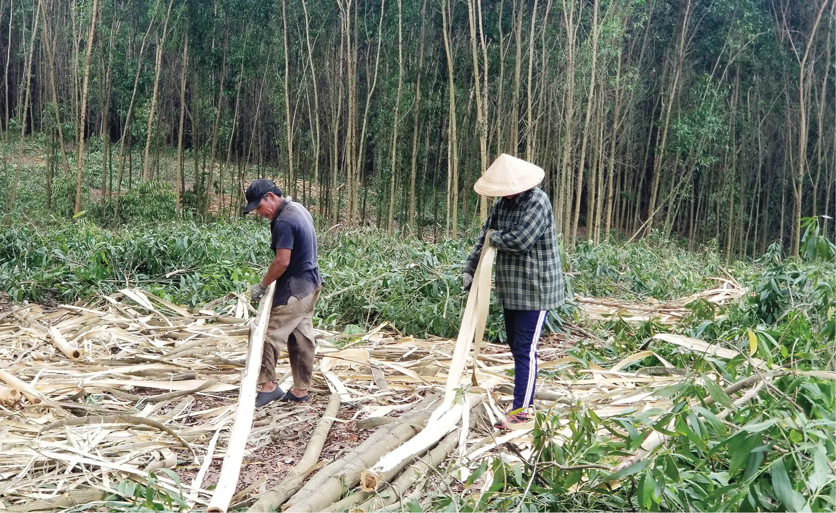 Ra khỏi xã “bãi ngang” và chuyện tấm thẻ bảo hiểm y tế