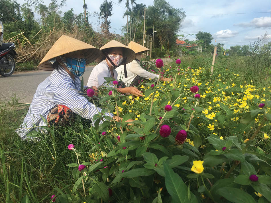 Mô hình nhỏ, ý nghĩa lớn