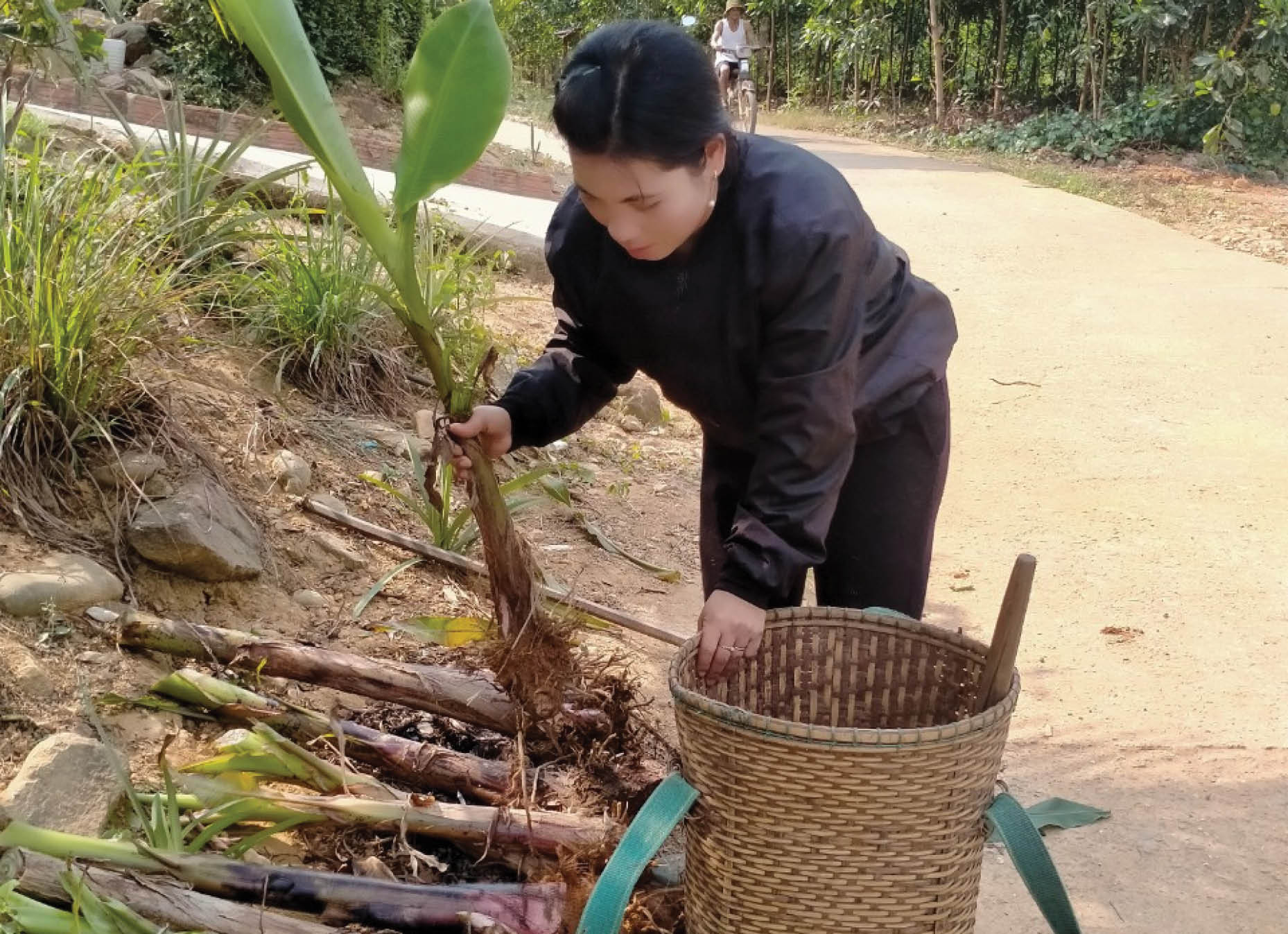 Mô hình hay của phụ nữ dân tộc thiểu số