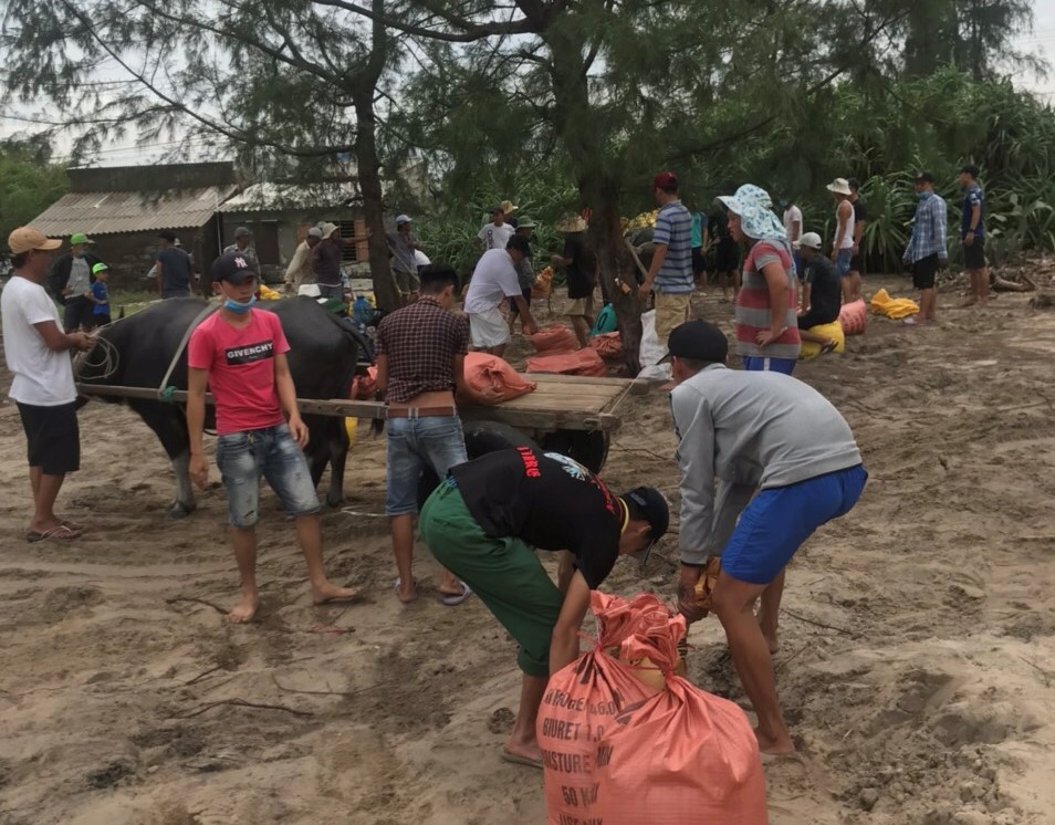 Xử lý gia cố tạm thời, hạn chế sạt lở bờ biển