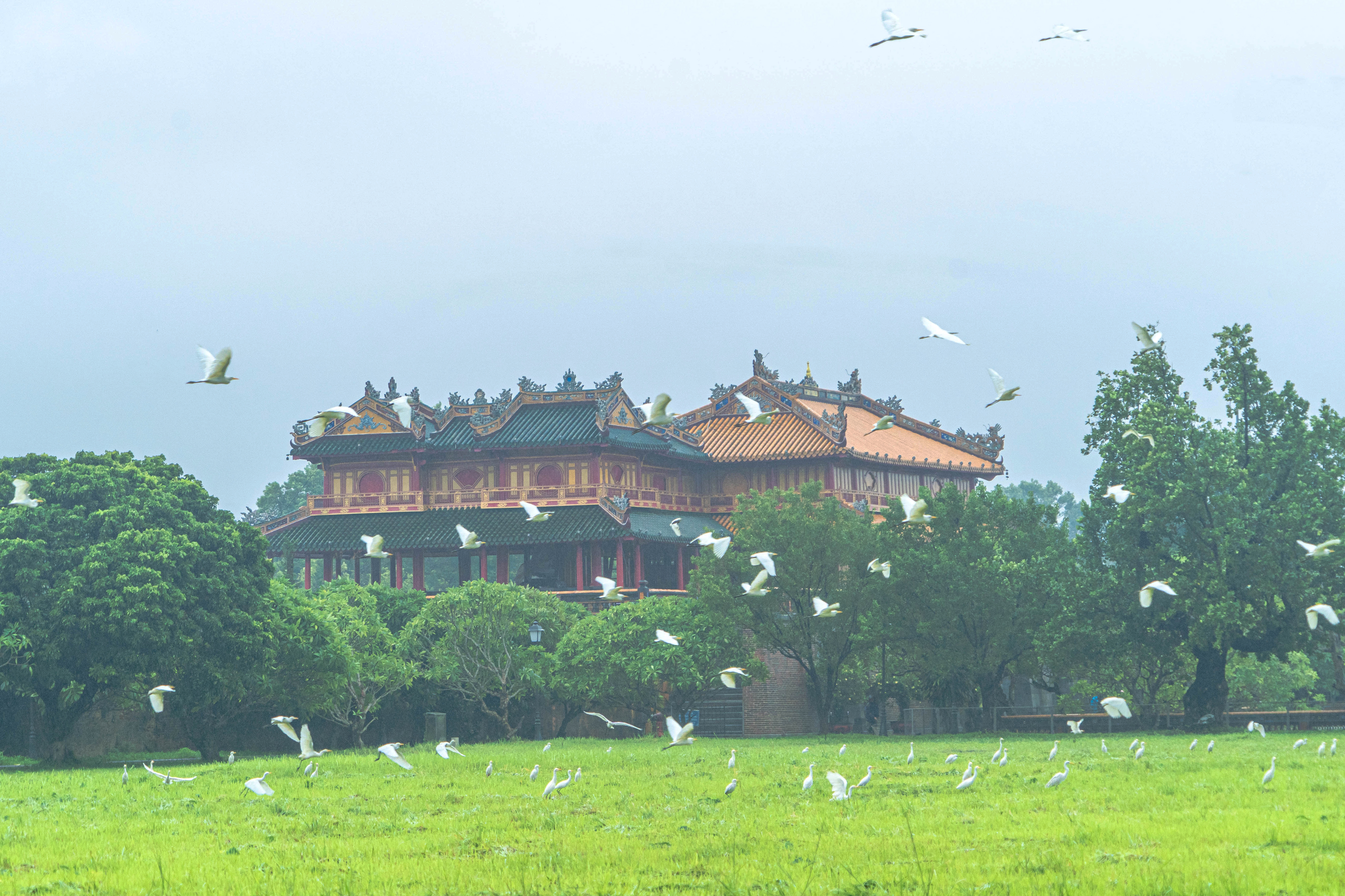 Đất lành, chim trú