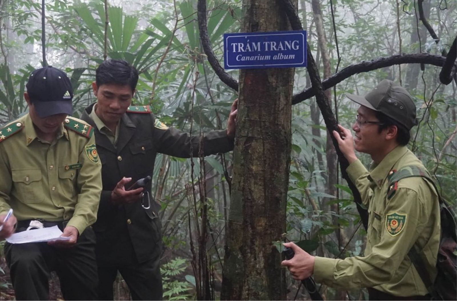 Guarding the forest in the flood season