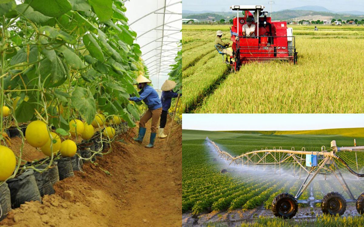 Phấn đấu đến năm 2030 cả nước có trên 5 000 hợp tác xã ứng dụng công nghệ cao