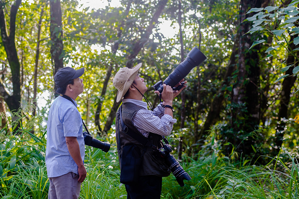 Ngắm động vật quý hiếm ở vườn Quốc gia Bạch Mã