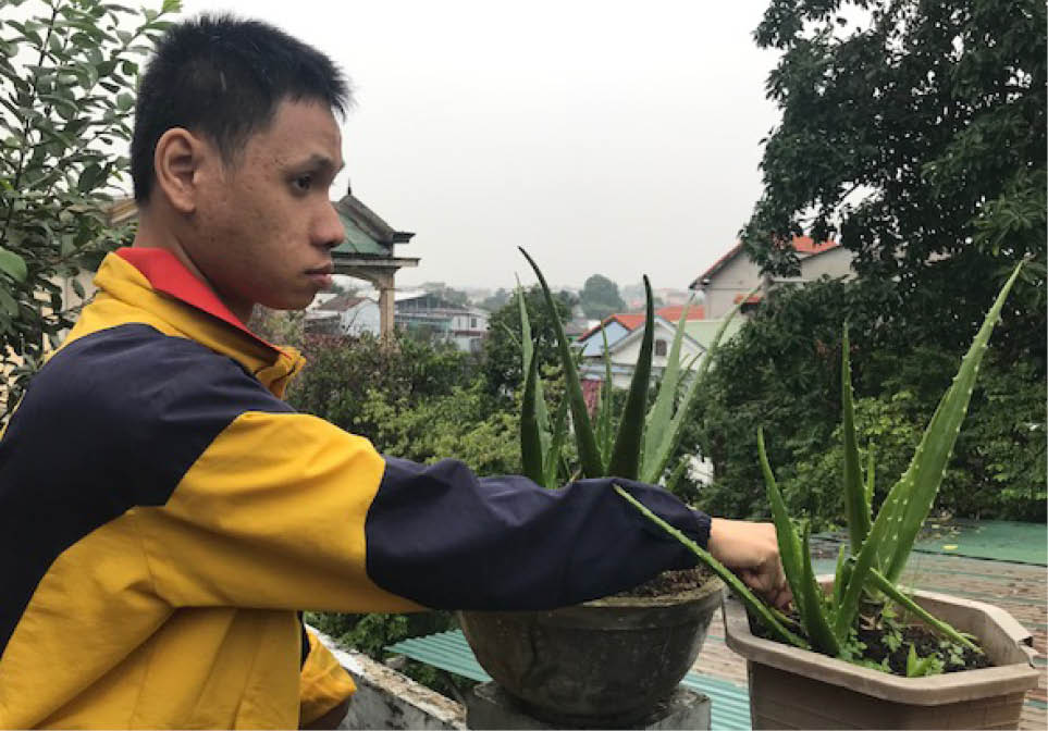 Vườn nha đam của Hoàng