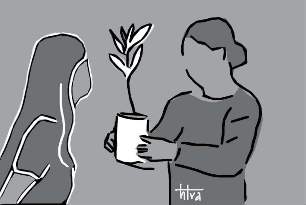 “Sau bão mẹ hãy trồng một cây xanh, mẹ hí ”