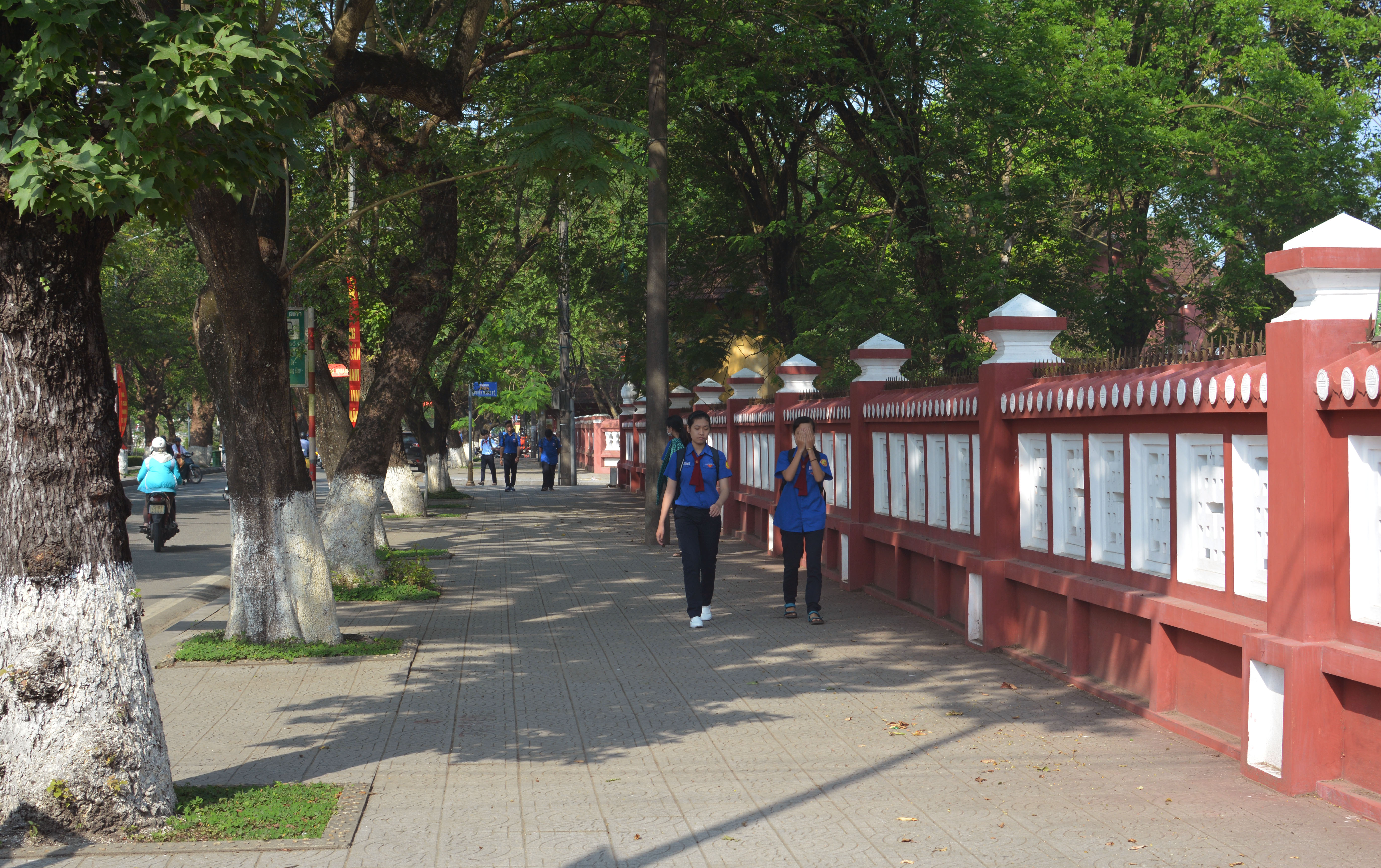 Giữ đẹp mãi “quả bóng xanh”