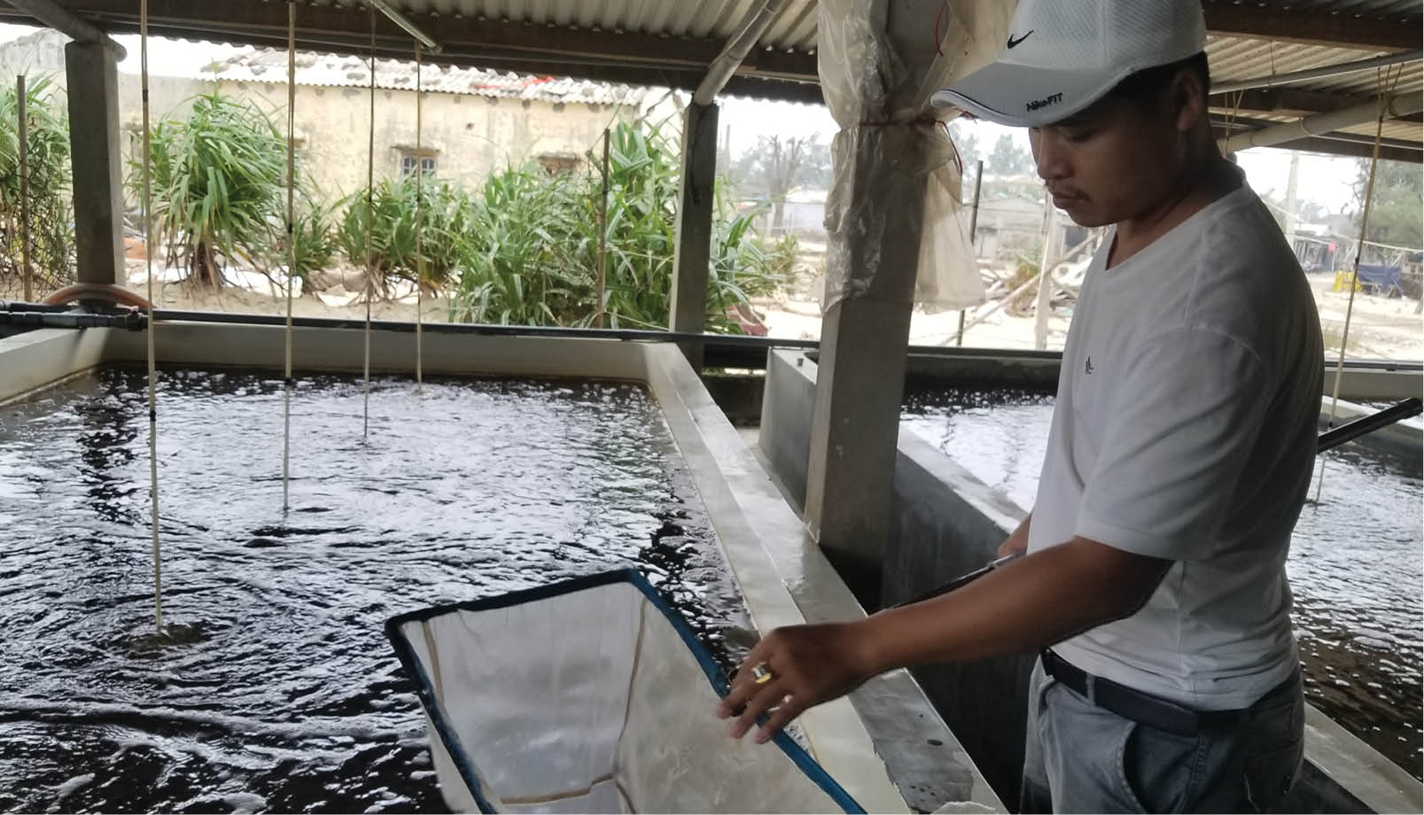 Khắc phục hư hỏng đê bao, ao hồ thủy sản