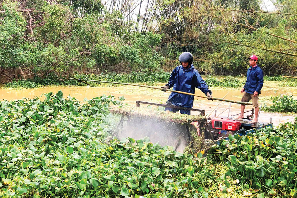 Thuyền băm bèo xử lý bèo lục bình