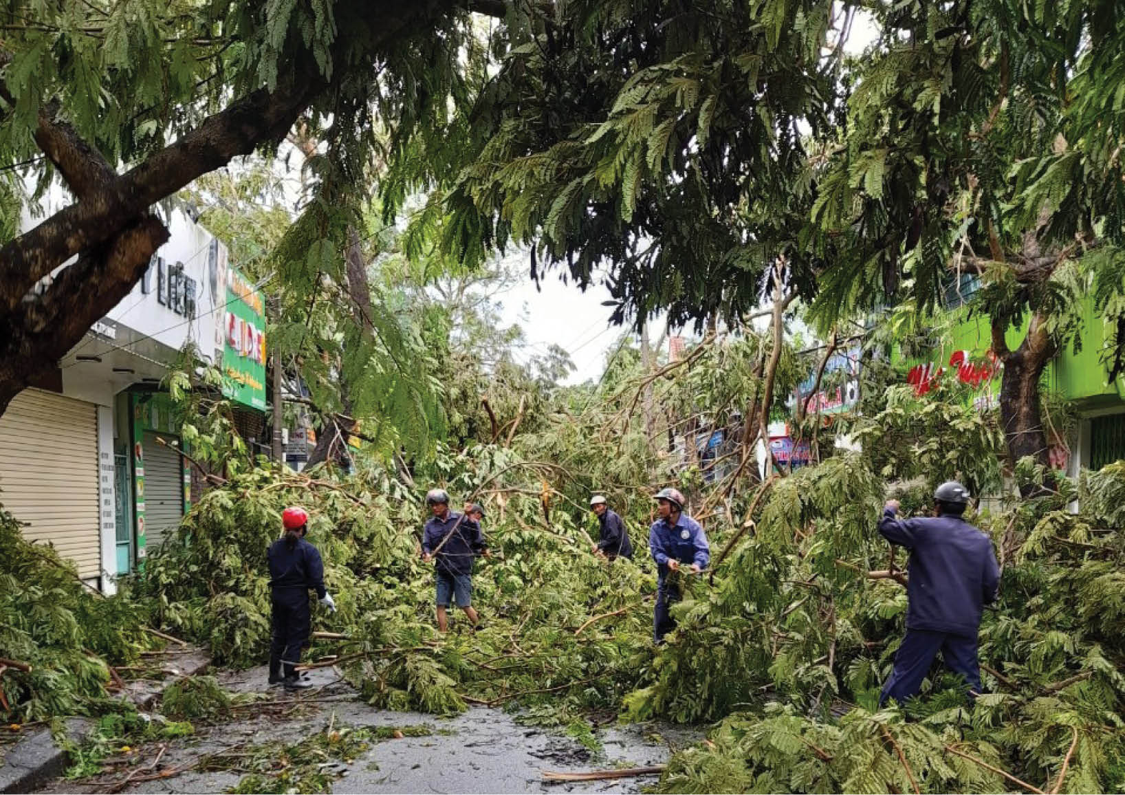 Nhiều mô hình hay từ một phong trào