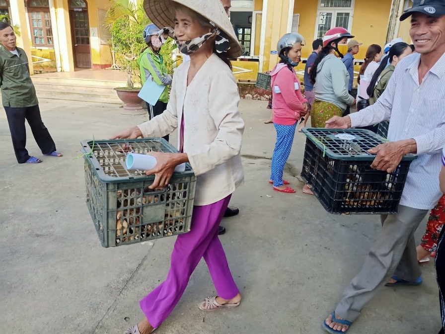 Trao 25 000 con gà giống cho người dân