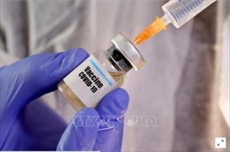 Việt Nam sẽ thử nghiệm giai đoạn 1 vaccine COVID-19 từ ngày 10 12