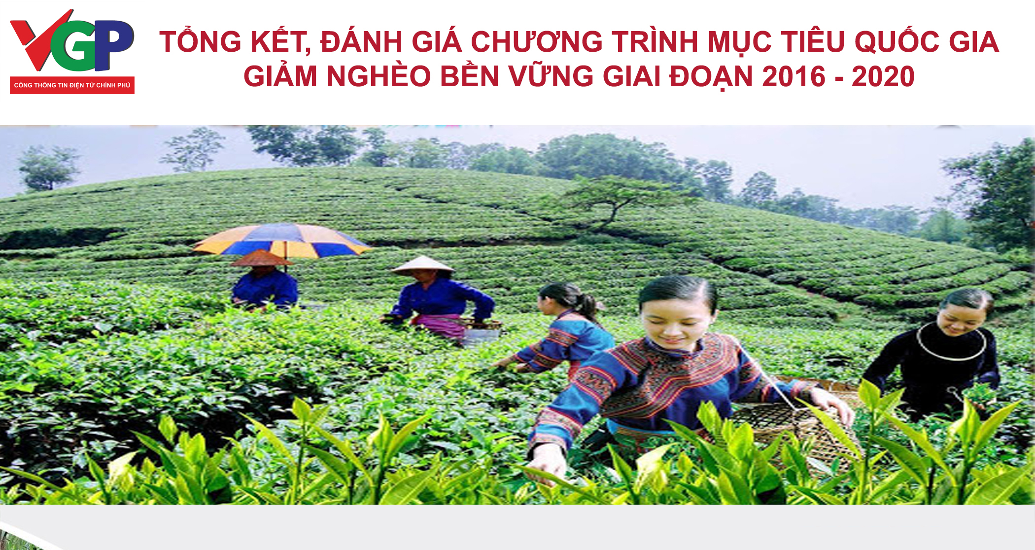 Một số kết quả chương trình mục tiêu quốc gia giảm nghèo bền vững