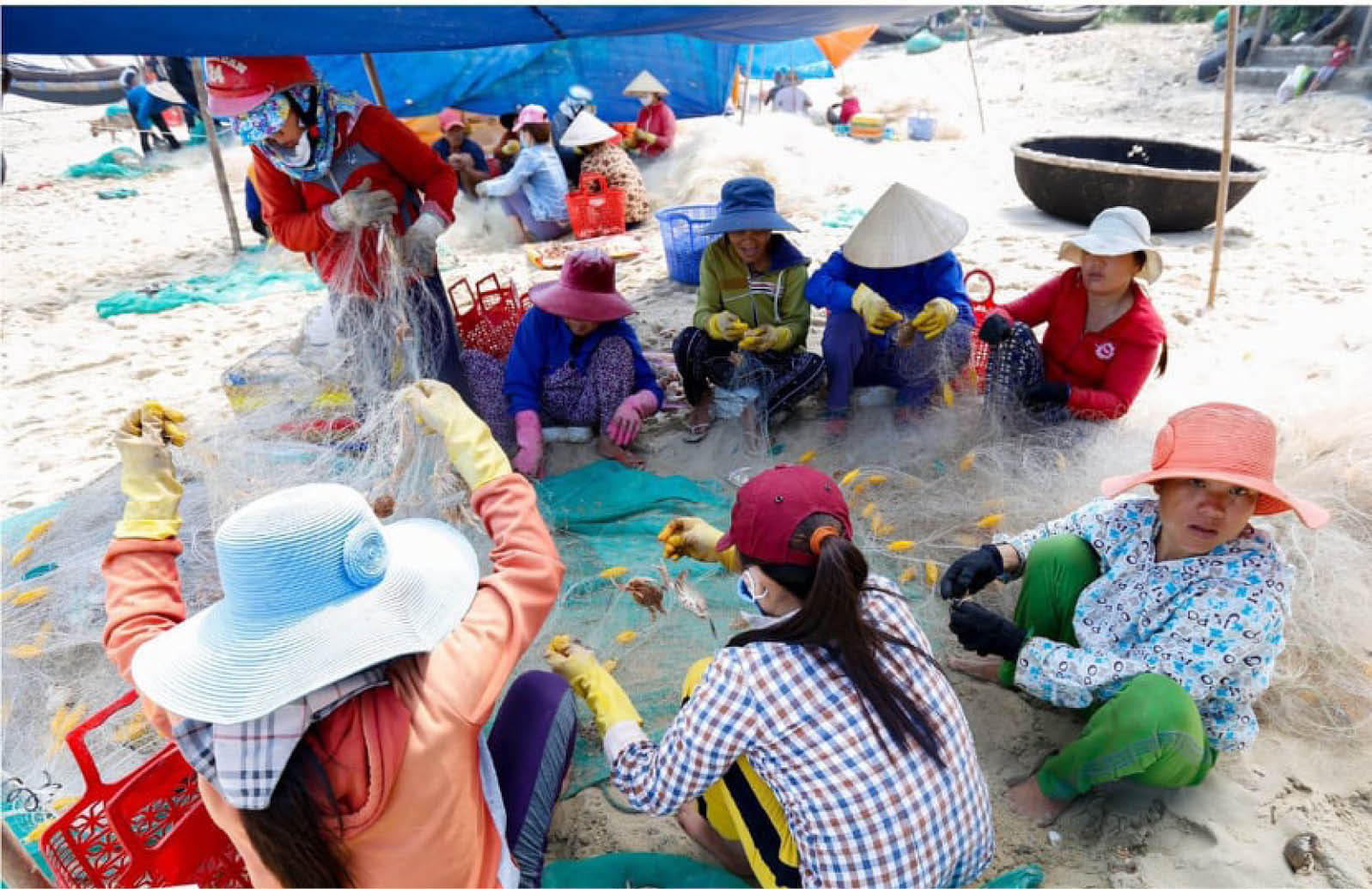 Dồn sức khôi phục, phát triển sản xuất