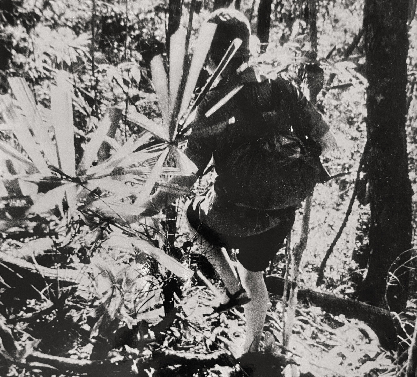 Hồi ức “bước chân giao liên”