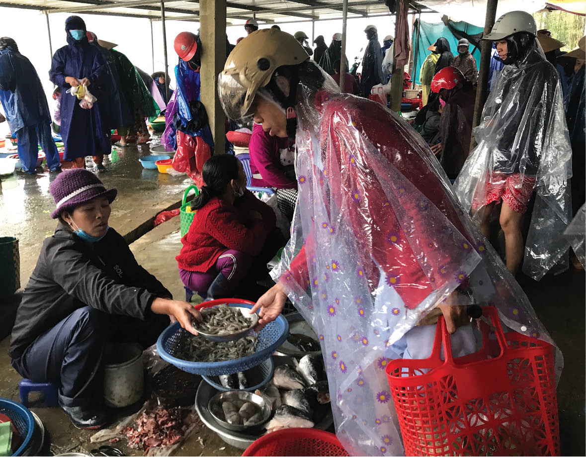 Hồn quê “neo đậu”