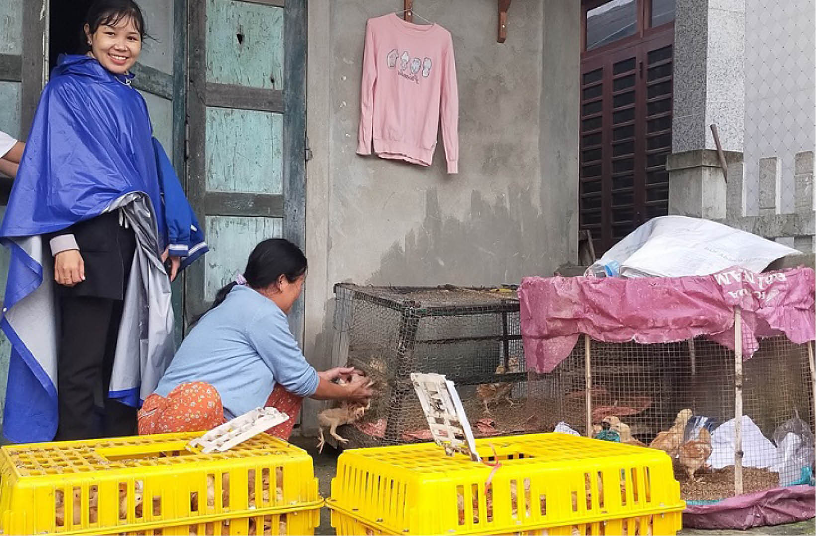 Dồn sức hỗ trợ sinh kế