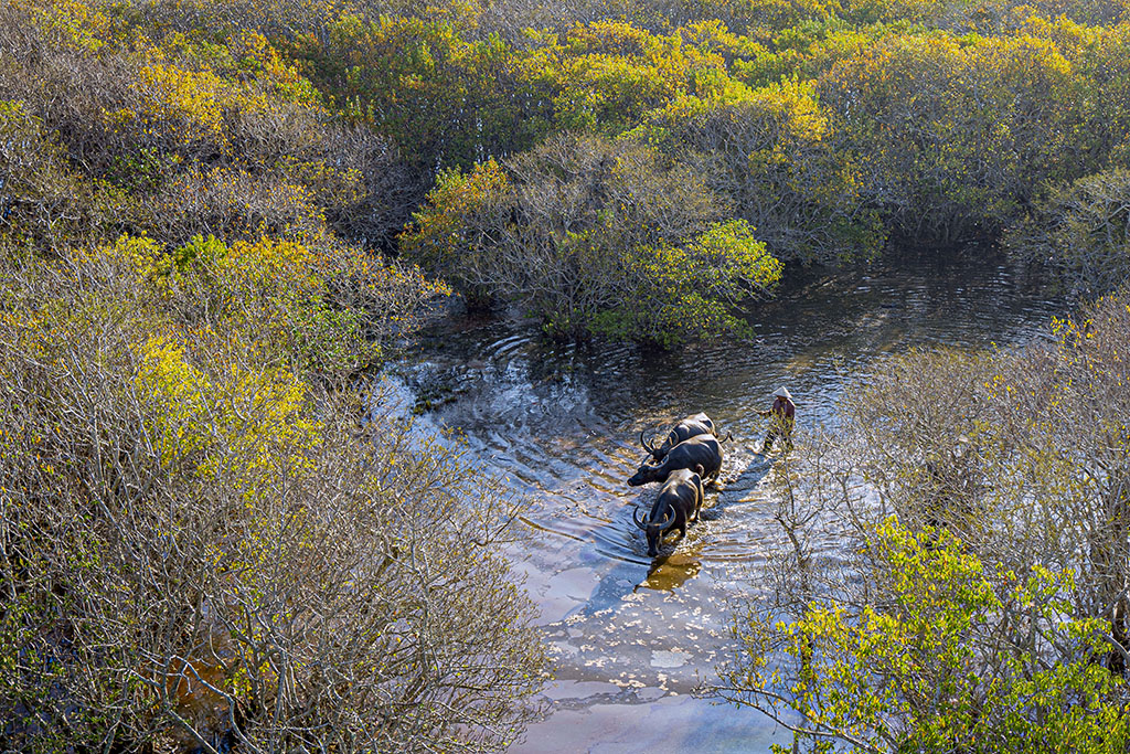 Rú Chá bốn mùa check-in