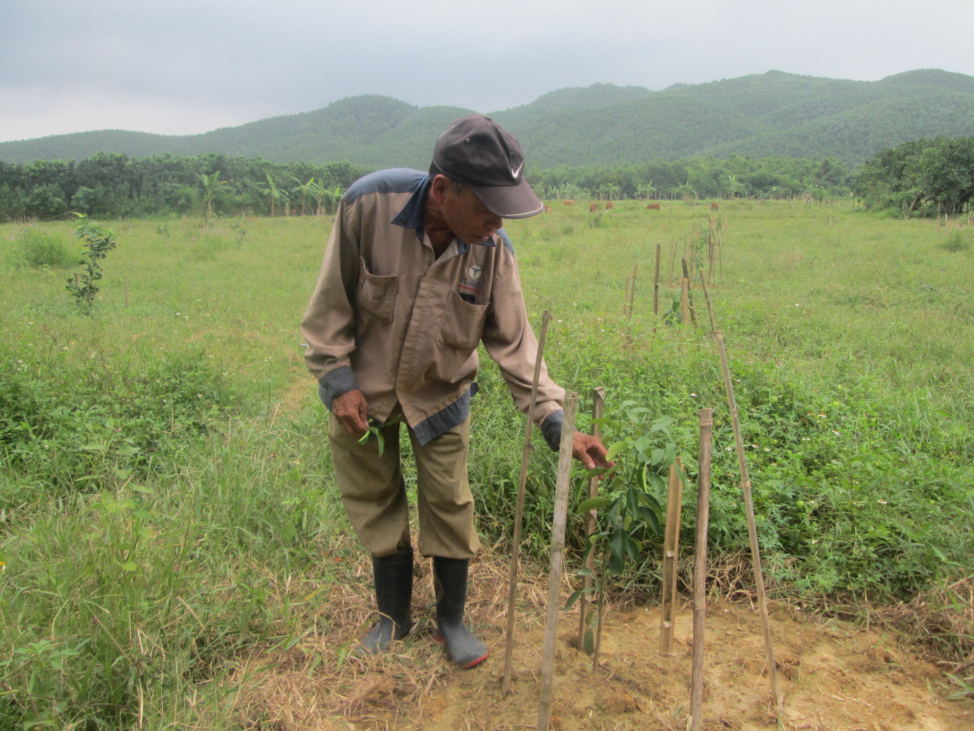 Tìm giải pháp giảm nghèo bền vững