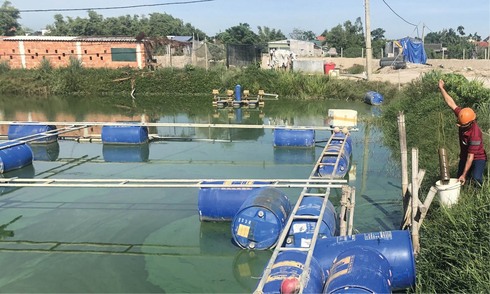 Hồi hương làm giàu