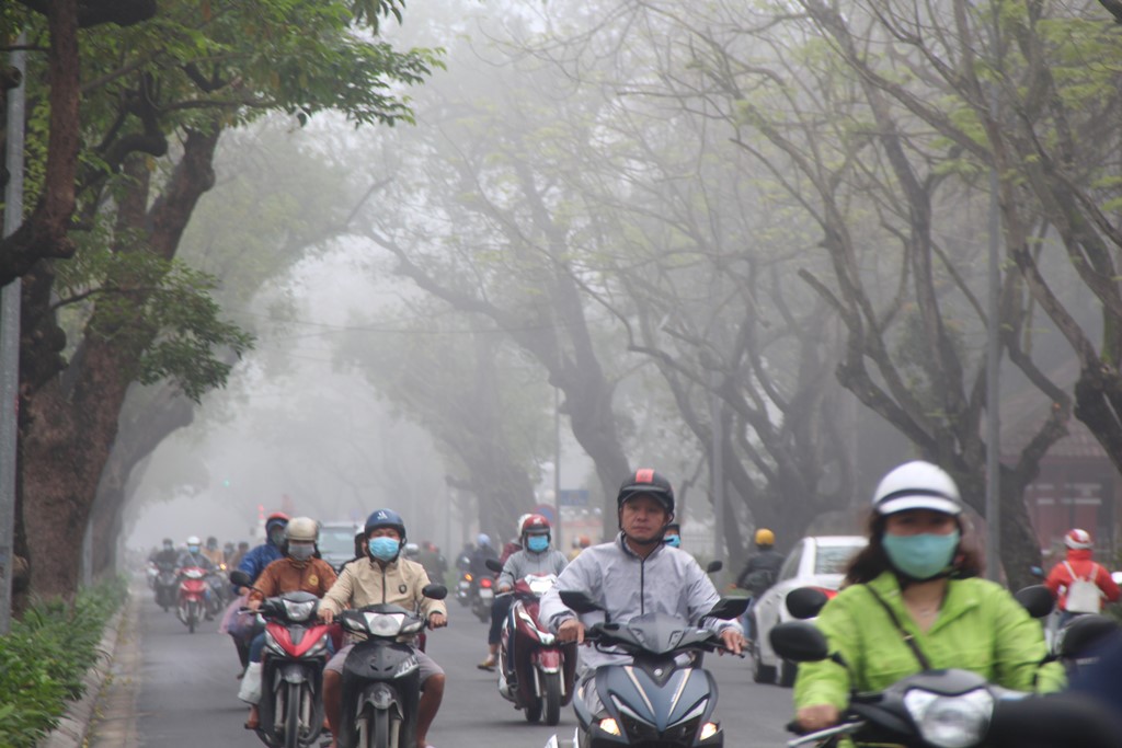Thành phố chìm trong sương mù