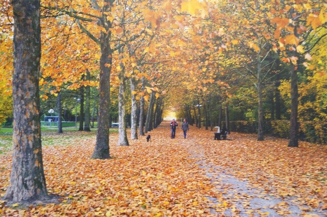 Triển lãm ảnh “Ký ức tháng năm”