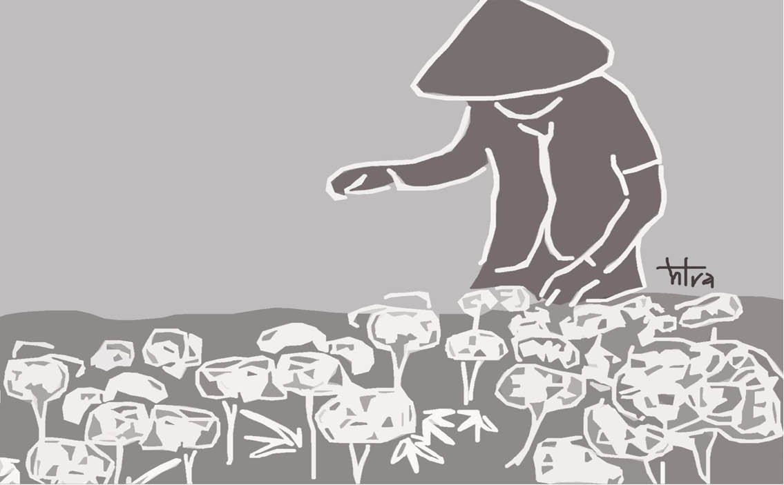 Xới lại mảnh vườn