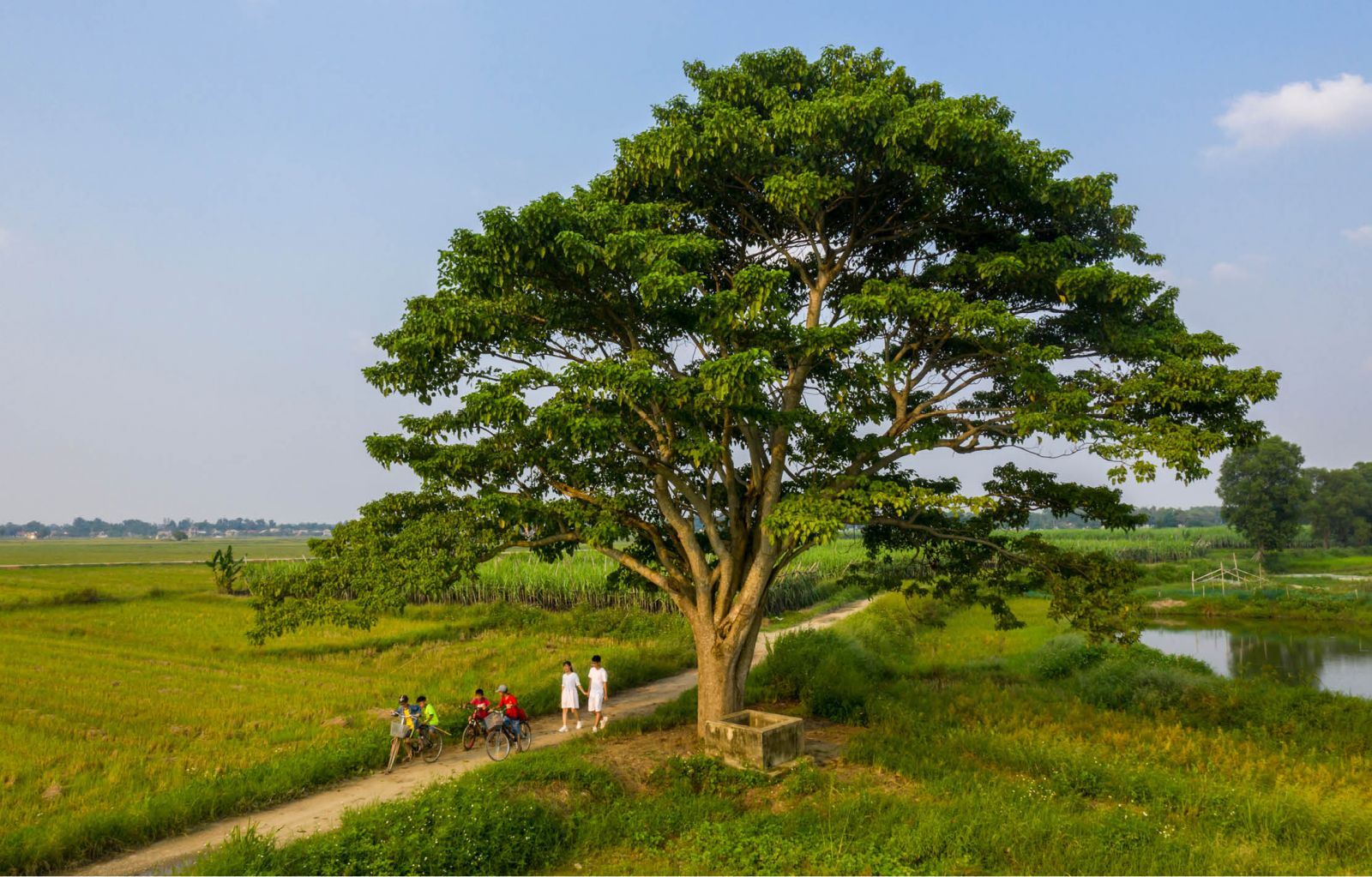 Opportunities for the Culture Industry in Hue