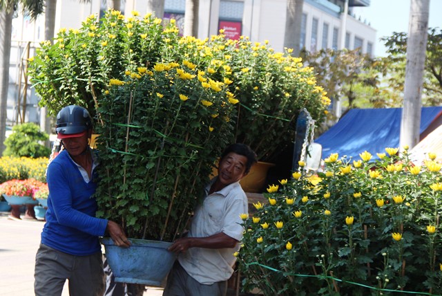Chợ hoa xuân diễn ra cùng lúc ở nhiều địa điểm