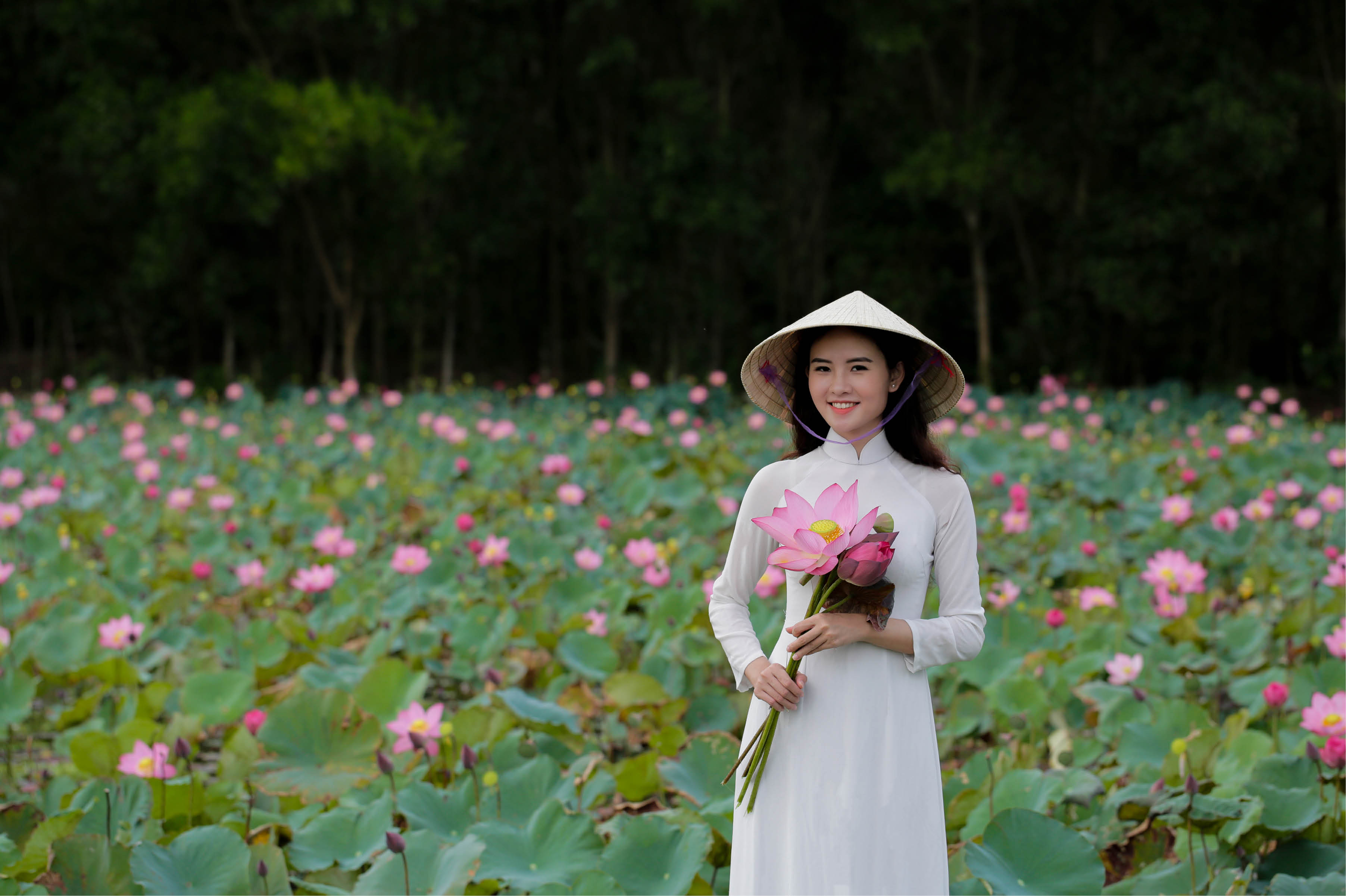 Xanh mảnh vườn, lòng người
