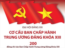 Cơ cấu Ban Chấp hành Trung ương Đảng khóa XIII