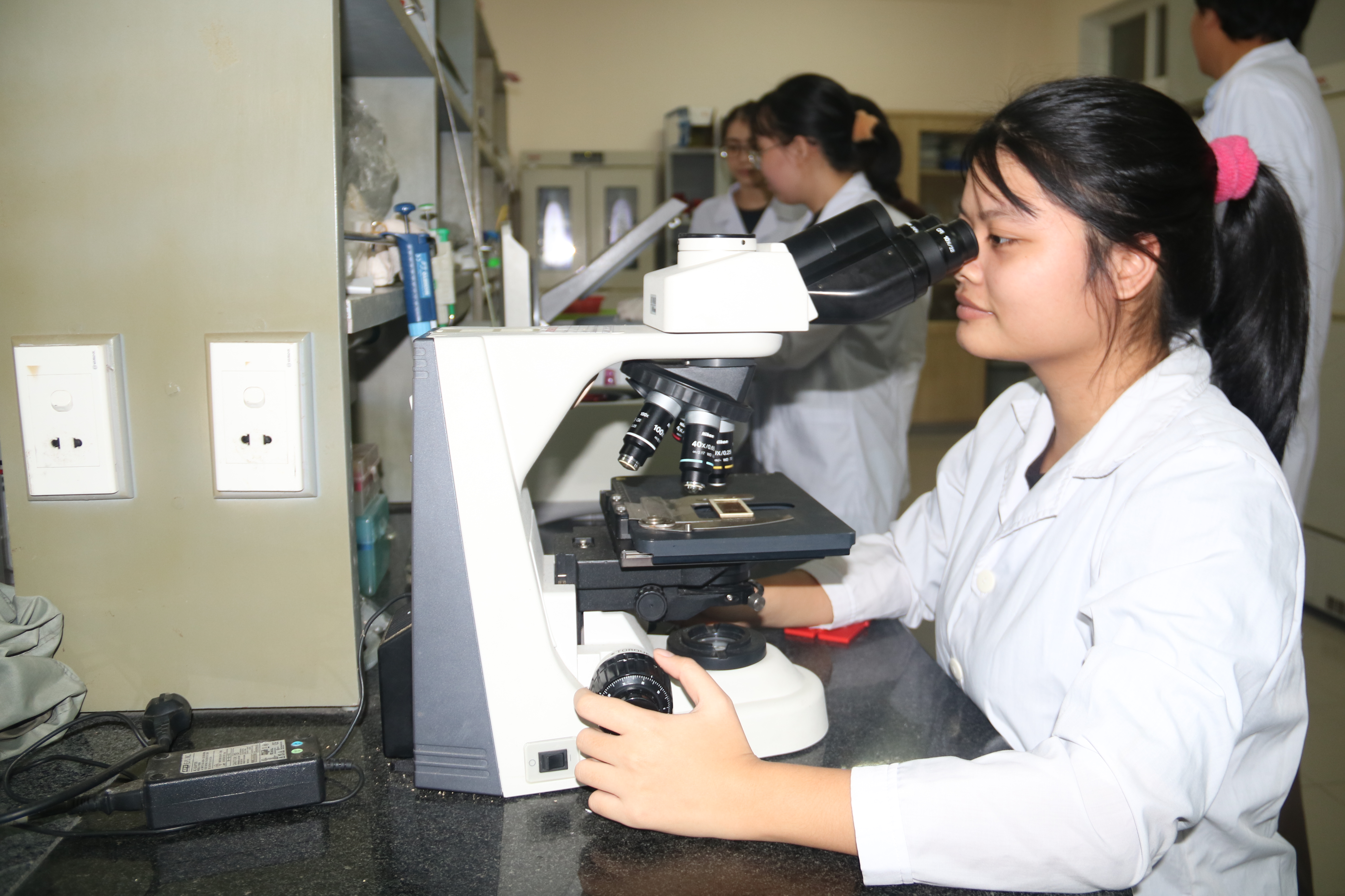 Thứ hạng thế giới của Đại học Huế tăng bậc trên bảng xếp hạng Webometrics