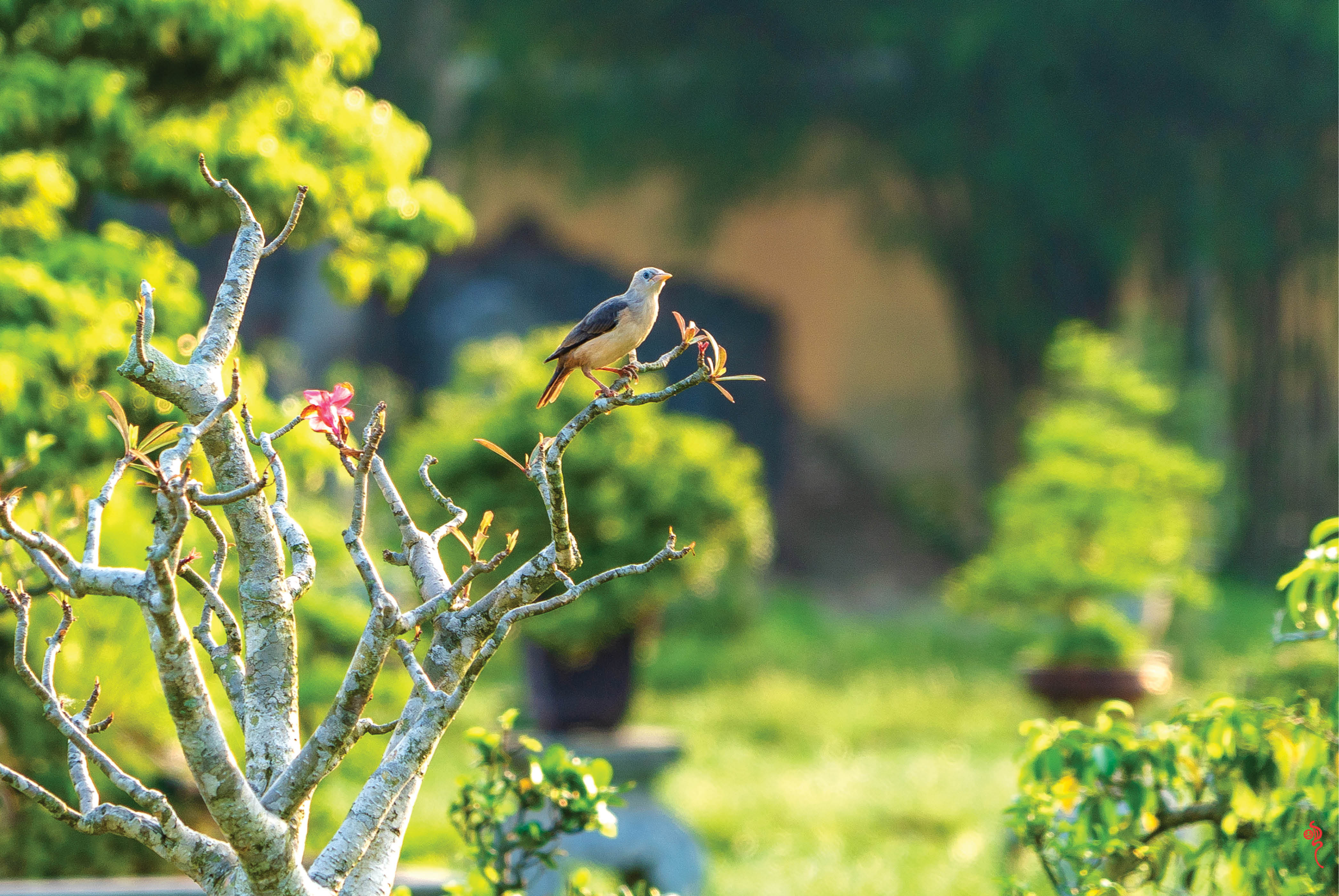 Thắp ngọn đèn trong tâm mà đi