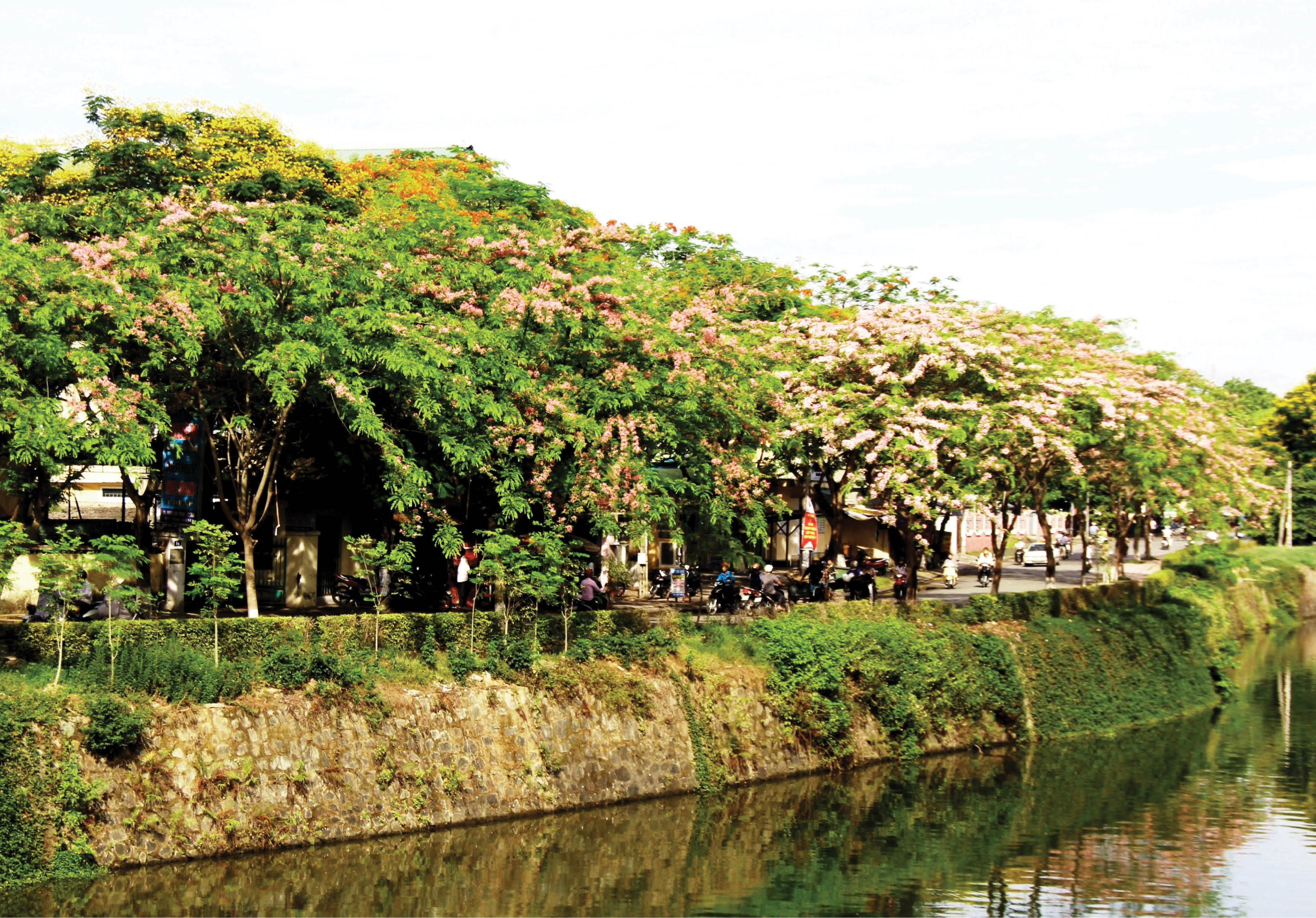 Hạnh phúc và phụng sự