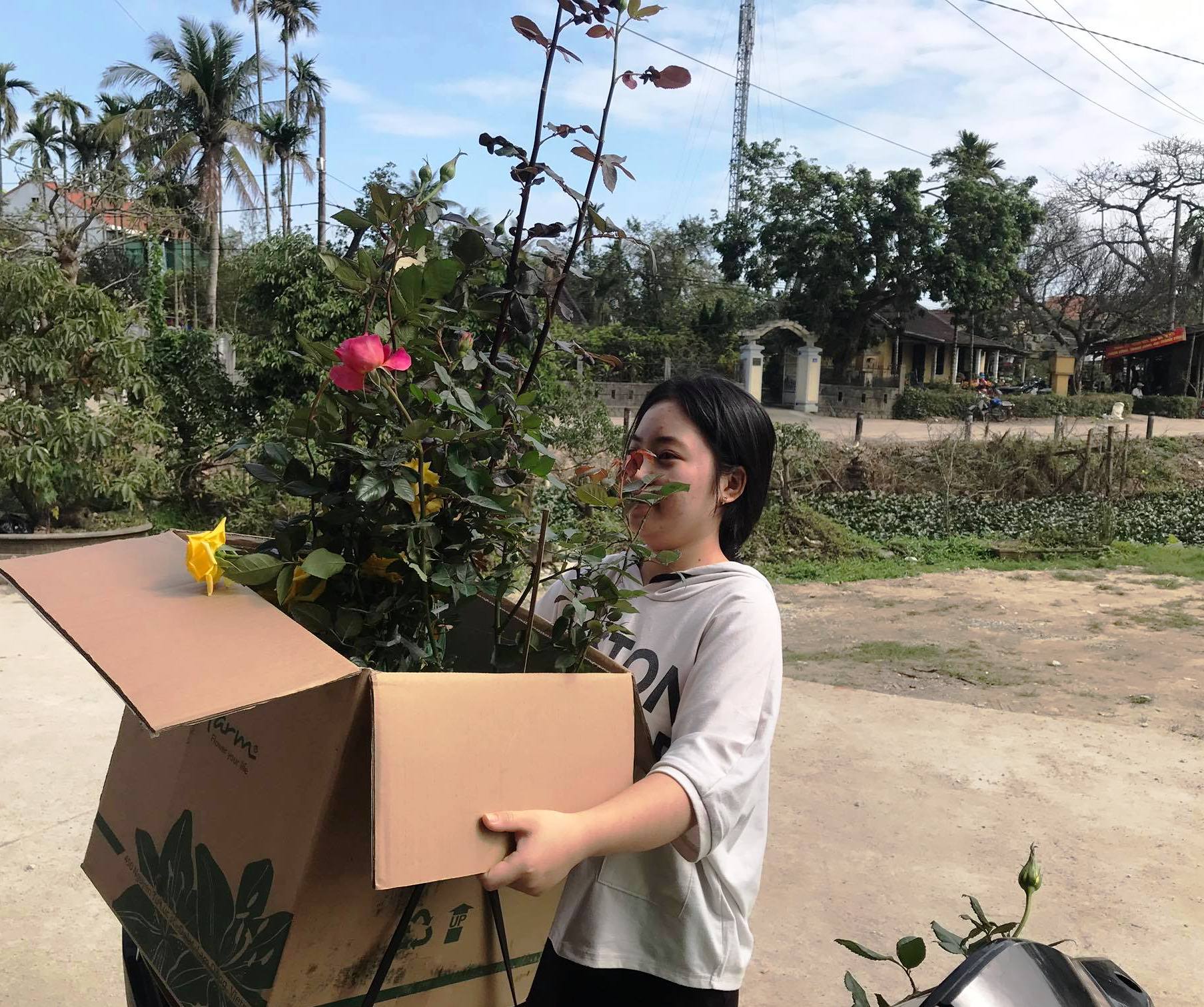 Những chuyến xe chở mùa xuân