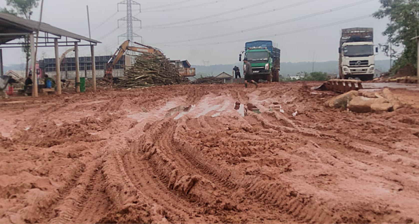 Sẽ đình chỉ hoạt động nếu trạm cân, thu mua gỗ không đảm bảo môi trường