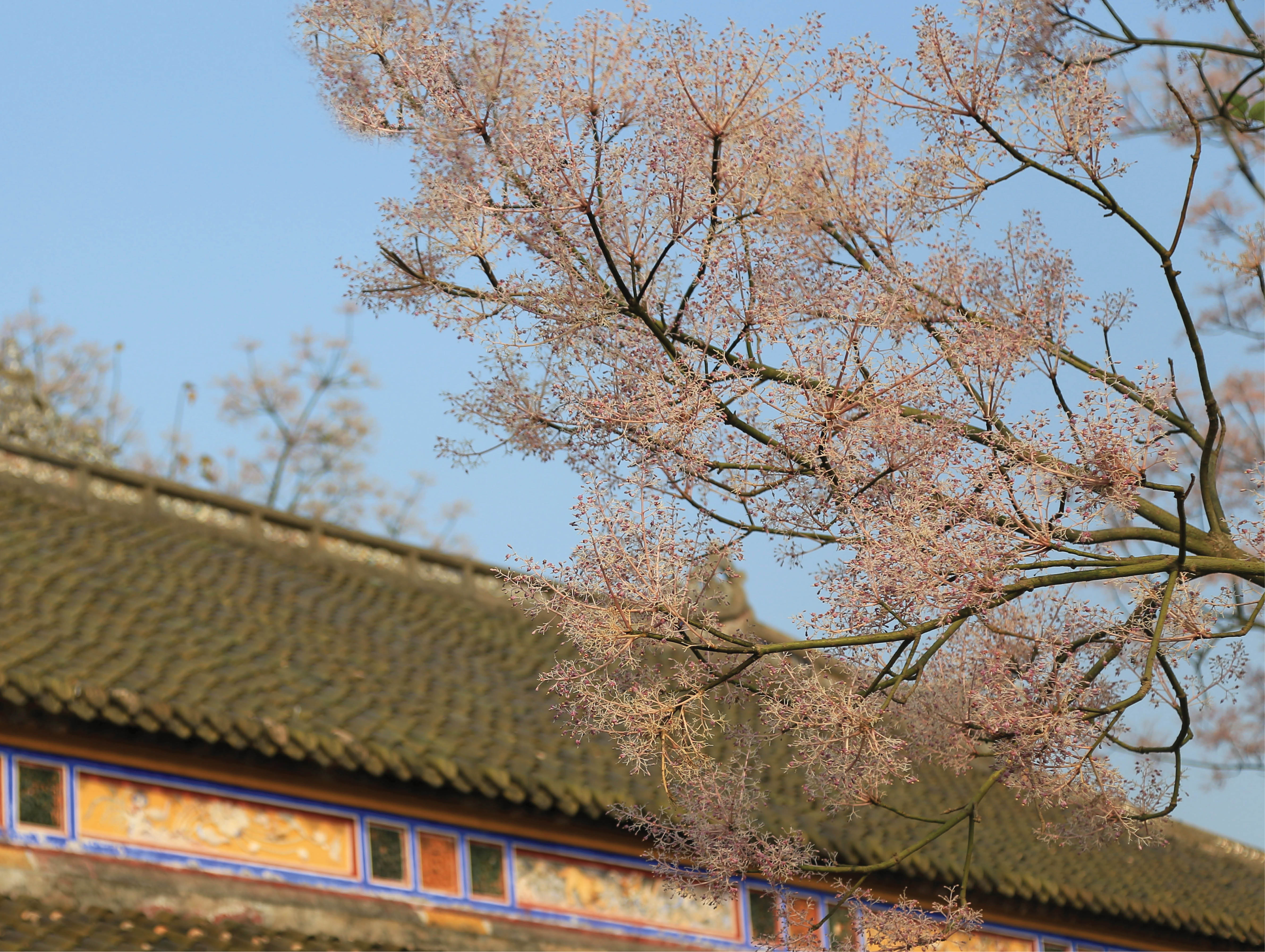 Lục đục thương ơi…